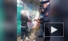 В Крыму два питбуля напали на женщину