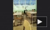 Школьница из Хабаровского края сняла на видео избиение своего одноклассника