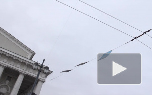 МЧС предупреждает об усилении ветра в Петербурге