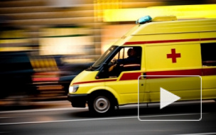 В центре Петербурга мужчина с перерезанным горлом перепугал горожан