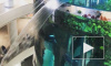 Видео из Москвы: В ТЦ "Океания" протек знаменитый гигантский аквариум