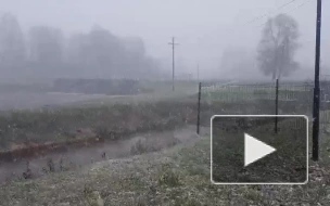 В Ленобласти выпал первый снег – видео