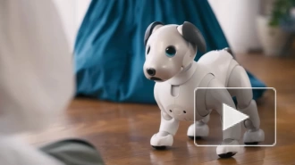 Собака Sony Aibo скоро сможет спокойно ходить и исполнять сложные танцевальные номера