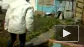 Приколы