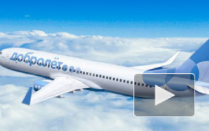 Лоукостер "Добролёт" начнет продажу билетов 26 мая
