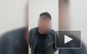 В Петербурге задержали мужчину за избитую и выброшенную в мусорный бак собаку