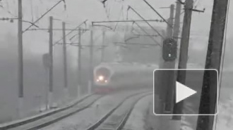 Из-за технических неполадок на два часа задержали поезд Самара – Петербург