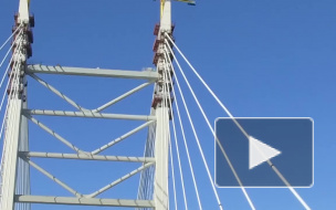 Проехаться по центральному участку ЗСД можно будет уже 2 декабря