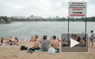 В Петербурге можно купаться лишь на одном из 25 пляжей