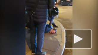 Полиция задержала дебоширов из "Дикси" на Садовой