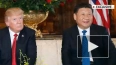 Дональд Трамп назвал Си Цзиньпина убийцей