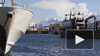 ФАС предложила устроить передел на рынке вылова рыбы