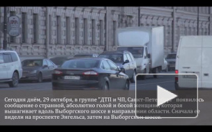 Появилось фото голой женщины, разгуливающей по Выборгскому шоссе