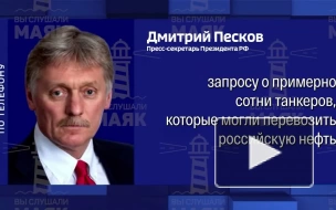 Песков: Россия адаптируется к непрекращающимся санкционным устремлениям США