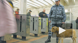 В Петербурге пропал семиклассник