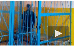 Погибший от рук убийцы перед смертью успел огреть преступника сковородкой