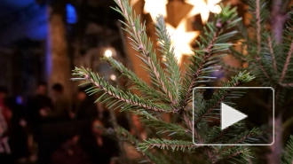 Видео: как в Анненкирхе возвращают Рождество