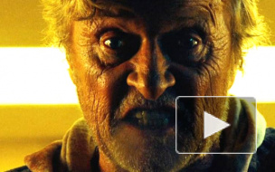 Петербургу предъявили бомжа-хипстера