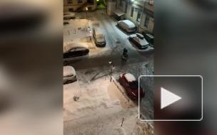 В Петербурге задержали более ста человек