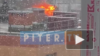 Очевидец: под Гатчиной горит фабрика фейерверков