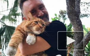 Сергей Шнуров посвятил стихи бакланам, испортившим крышу стадиона