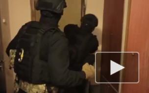 В Петербурге мошенники заработали 10 миллионов на доверчивых покупателях