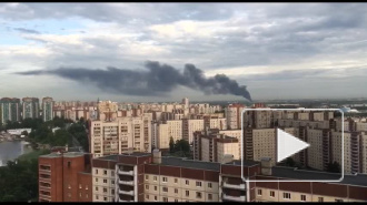 МЧС: В колпинском ангаре горят полимеры