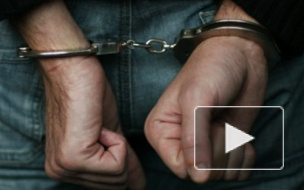 Таджик, который привез в Россию 100 "анаболических" таблеток, пойдет под суд