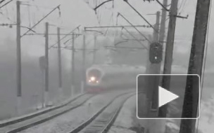 "Сапсан" прибыл в Петербург с часовым опозданием