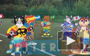 В Таврическом саду прошел "художественный футбол" котов