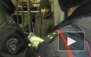 В Ломоносовском районе нашли около 60 нелегалов