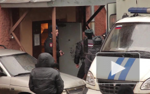 В Зеленогорске пьяные хулиганы оказались в наручниках после того, как отобрали дубинку у полицейского