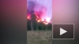 Видео: в Янино произошел пожар на территории МПБО-2