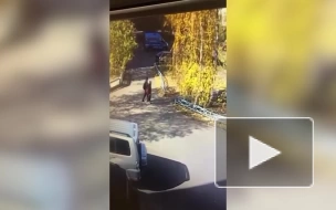 В Красноярском крае неизвестный на улице уколол шприцем школьника