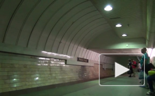 Пьяный мужчина спрыгнул на рельсы московского метро, чтобы спасти котенка