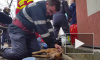 Румынский пожарный спас жизнь собаке, сделав ей искусственное дыхание и массаж сердца