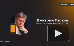 Песков: стягивание ВСУ к белорусской границе беспокоит как Минск, так и Москву