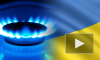 Новости Украины, 17 октября: Путин и Порошенко смогли договориться по газу