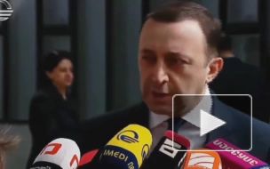 Премьер Грузии: президент не может быть выше закона