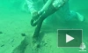 С побережья Черного моря собрали почти 155 тыс. тонн загрязненного песка и грунта