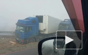 В Саратовской области столкнулись три фуры и две легковушки