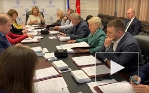 Горизбирком Петербурга решил вступиться за отстраненную от должности Марину Жданову