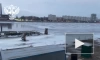 Петербургский Росприроднадзор попросил усилить контроль за работами по демонтажу "Серебряного кита"