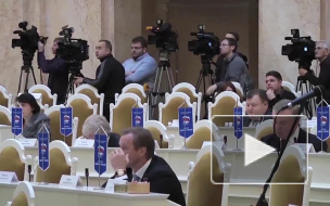 Пятеро депутатов ЗакСа хотели переименовать МО "Парнас" в "Не Парнас"