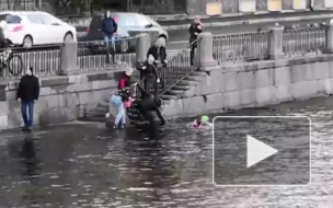 Героическое спасение Булочки из Фонтанки попало на видео