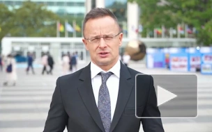 Глава МИД Венгрии рассказал, какую идею будет отстаивать на ГА ООН