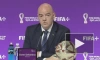 Доход FIFA от чемпионата мира в Катаре на $1 млрд превысил доход от турнира в России