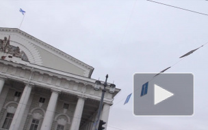 Опасный ветер в Петербурге будет валить деревья и поднимет волны на заливе