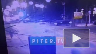 ДТП на перекрестке Савушкина и Покрышева заблокировало движение трамваев