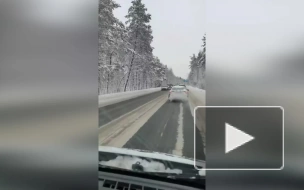 В Зеленогорске произошло массовое ДТП на скользкой трассе